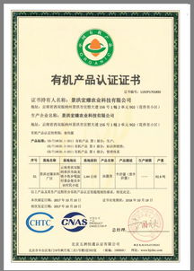 bu集團創(chuàng)始股東石為 致力現(xiàn)代農(nóng)業(yè),構(gòu)建工廠化生產(chǎn),顛覆牛肝菌市場格局